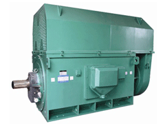 YJTFKK6303-4-2000KWY系列6KV高压电机
